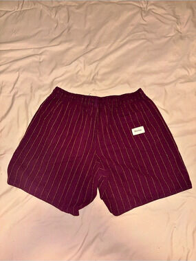 Rhythm Men's Striped Shorts in Purple